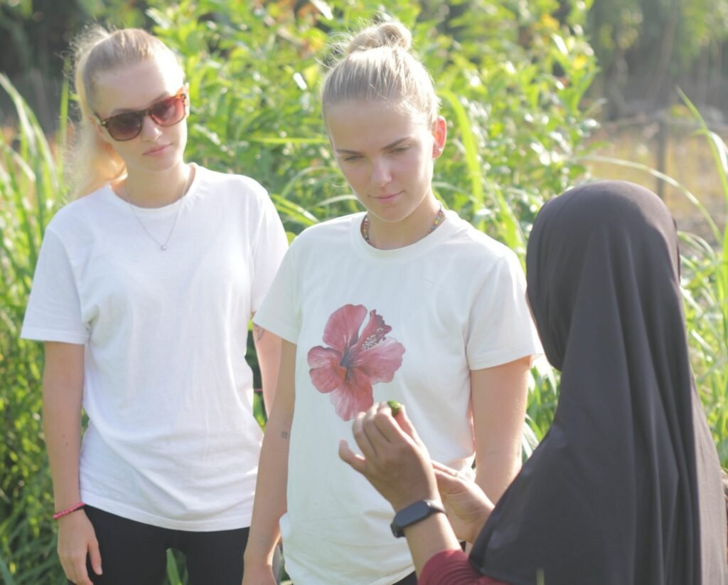 Online course, language course for travelers