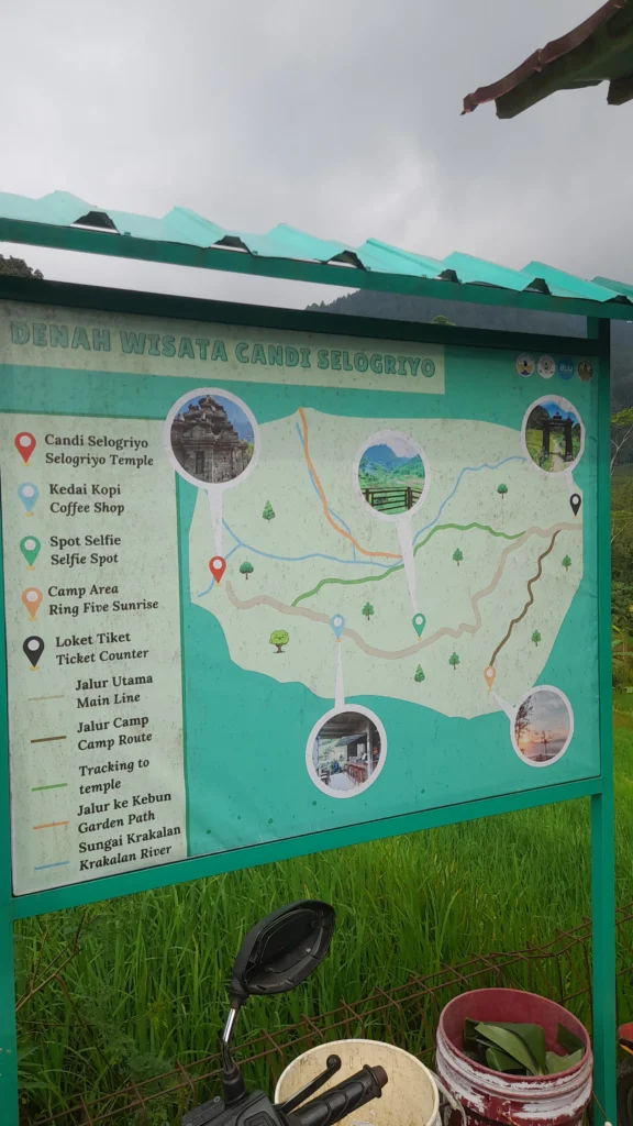 Yogyakarta tour Selogriyo Rice Fields and Borobudur