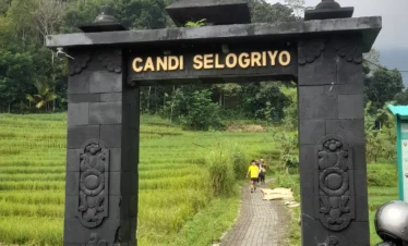 Yogyakarta tour Selogriyo Rice Fields and Borobudur