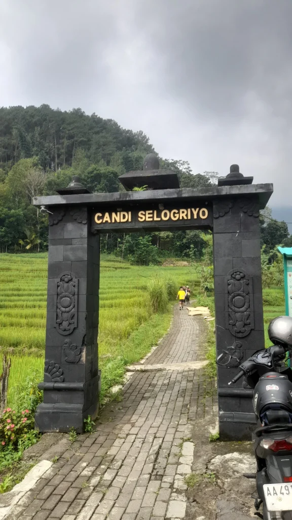 Yogyakarta tour Selogriyo Rice Fields and Borobudur