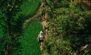 Yogyakarta tour Selogriyo Rice Fields and Borobudur