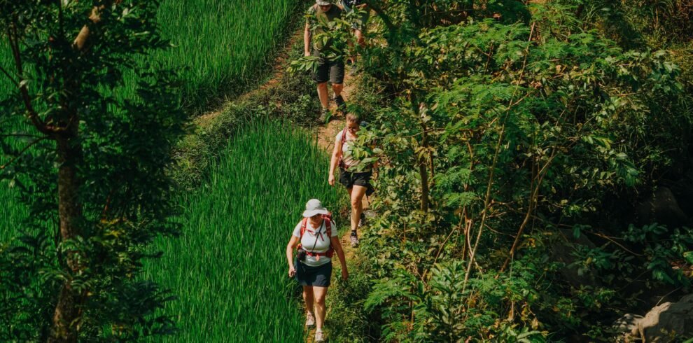 Yogyakarta tour Selogriyo Rice Fields and Borobudur