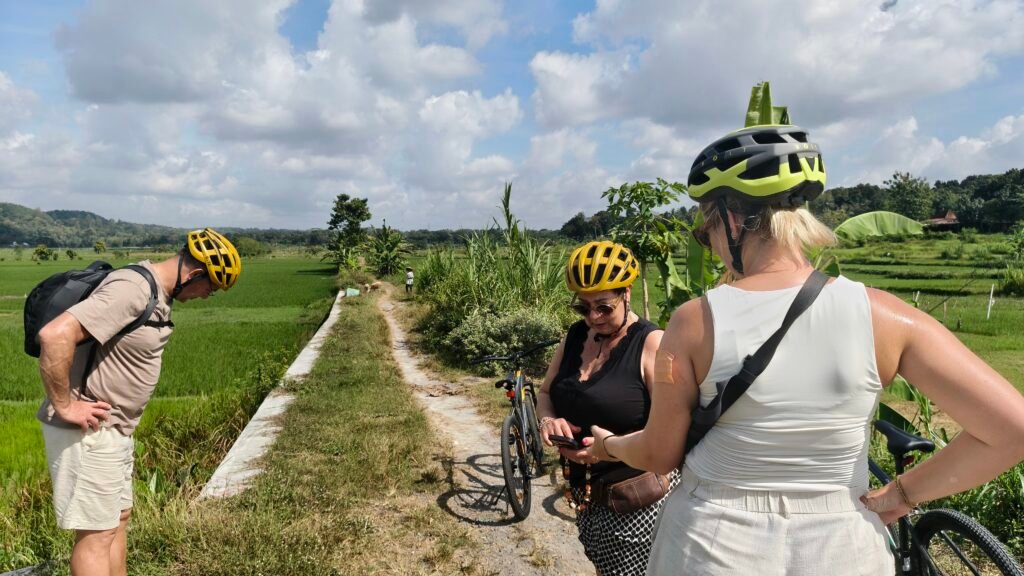Pottery Cycling Experience