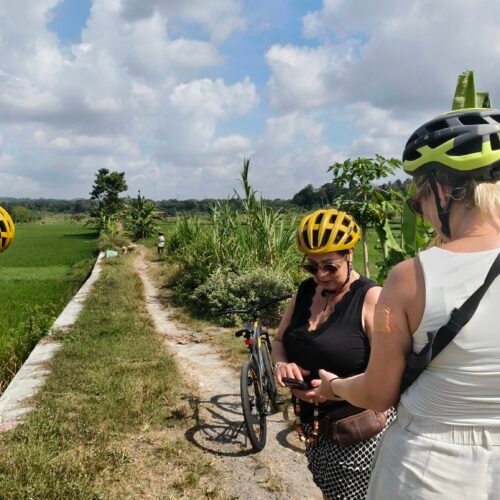 Pottery Cycling Experience